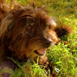 10 year old Luca